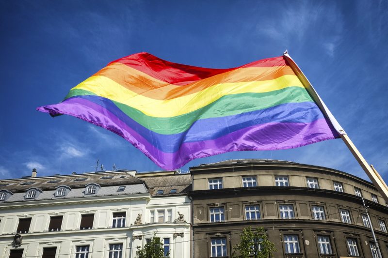 Image of a rainbow pride flag.